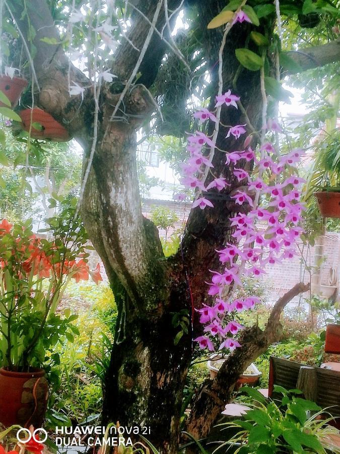 Tamcoc Mr. Cau * Ninh Binh