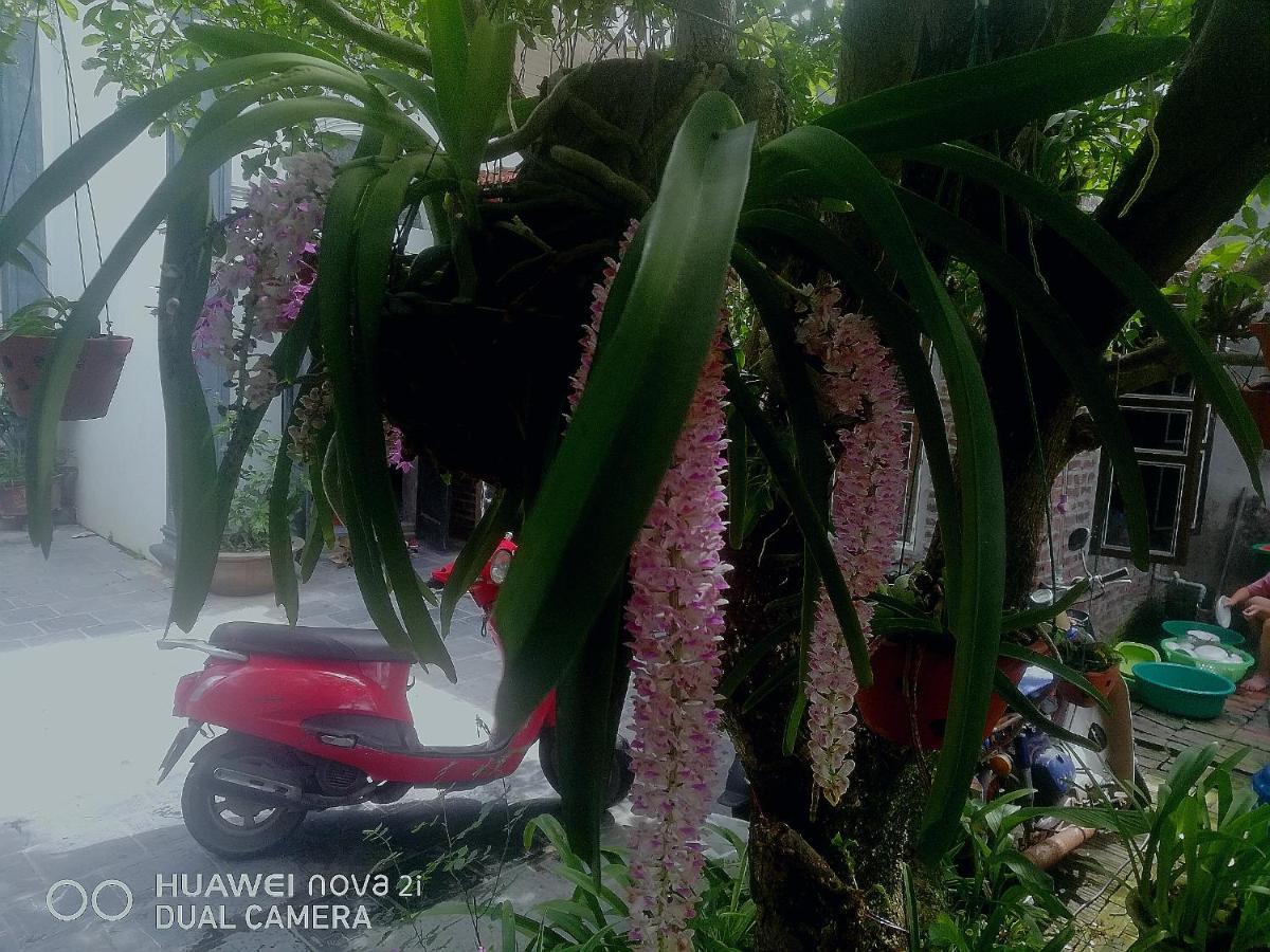 Homestay Tamcoc Mr. Cau Ninh Binh