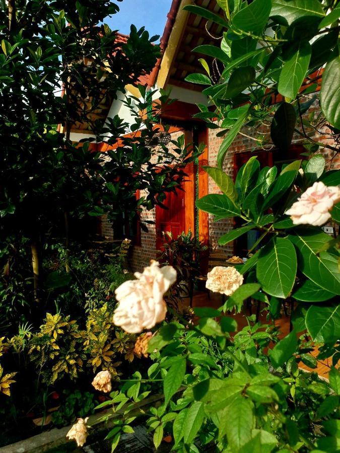 Homestay Tamcoc Mr. Cau