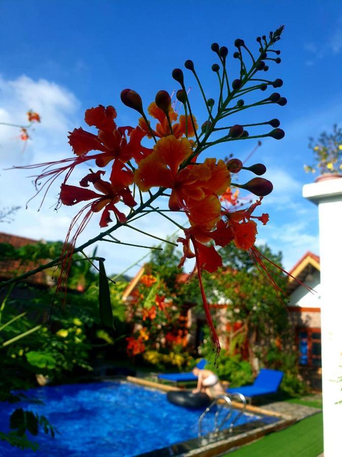 Homestay Tamcoc Mr. Cau *